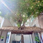 440891339_122141665970211805_6543402593747101164_n