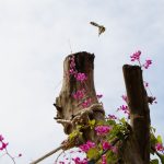 450109311_122162268038211805_8211211466767690346_n