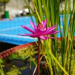 450543860_122162269406211805_7972543312270729030_n (1)