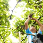 454617002_122170424450211805_6179862080498858498_n