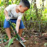 455133333_122171816078211805_5341709182510319406_n