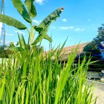 469423160_122199179426211805_8579065722811255333_n